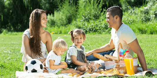 Pique-nique en famille sortie en plein air 